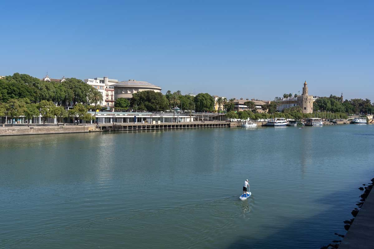 Injerto capilar en Sevilla